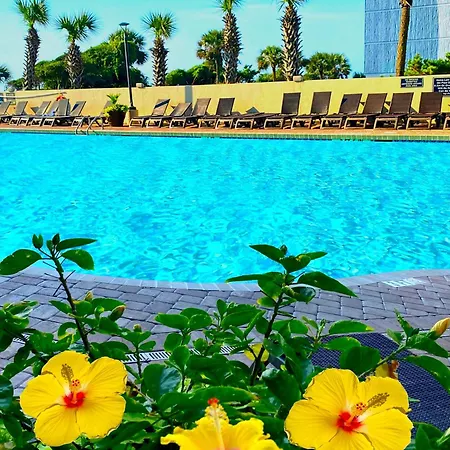 New ! Ocean Reef Resort-Unique Renovated Oceanfront Condo -Free Parking - Amazing Pools & Views-3